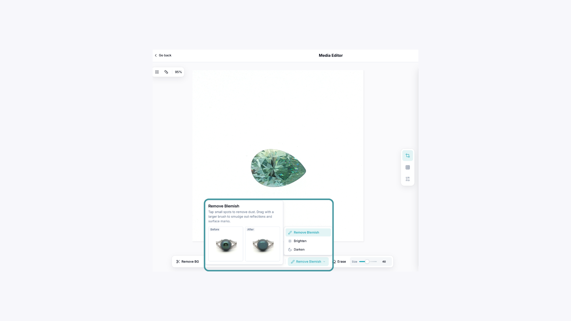 GemStone Gembrush.png
