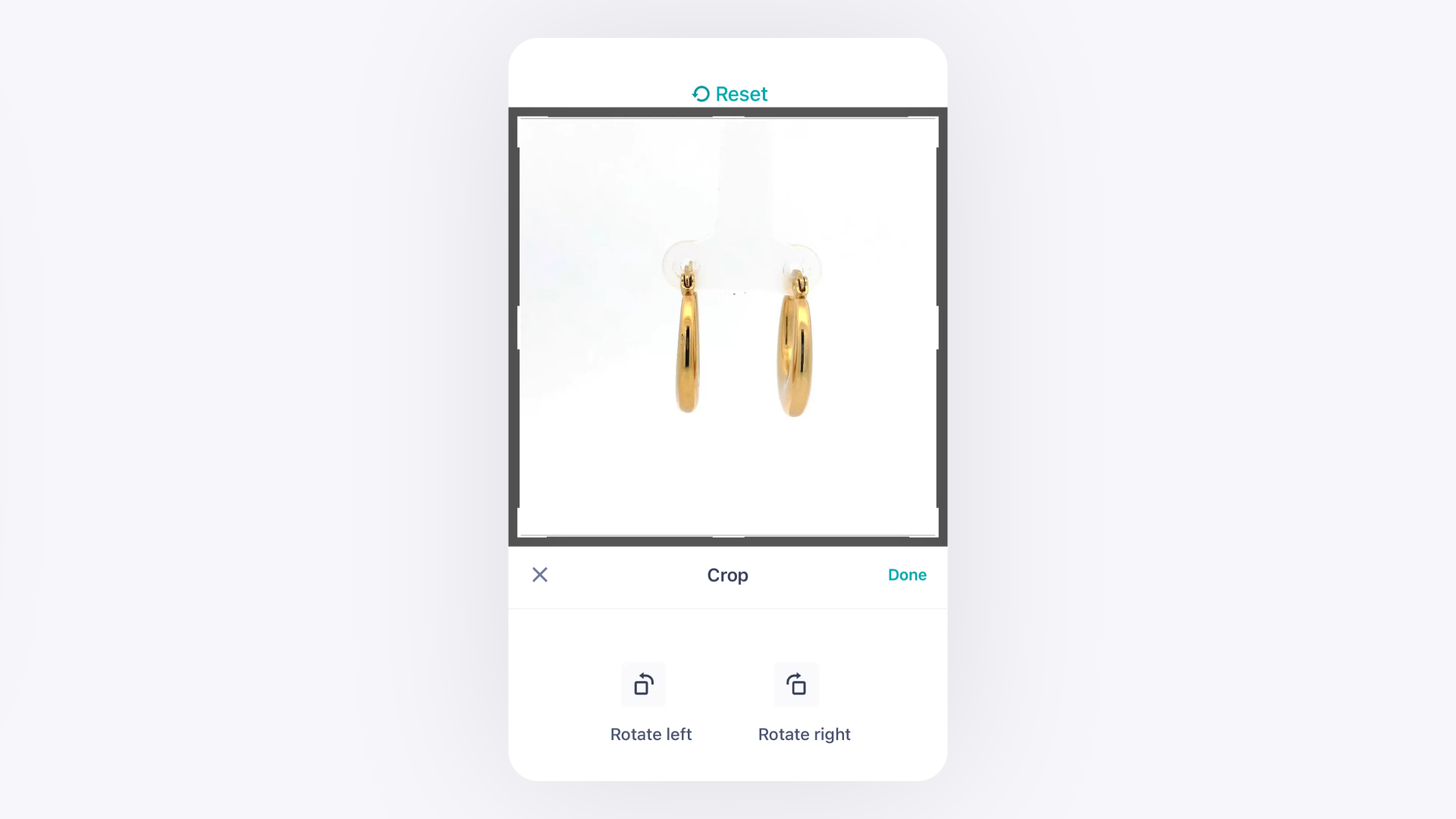 Crop Tool in the GemIQ app Editor