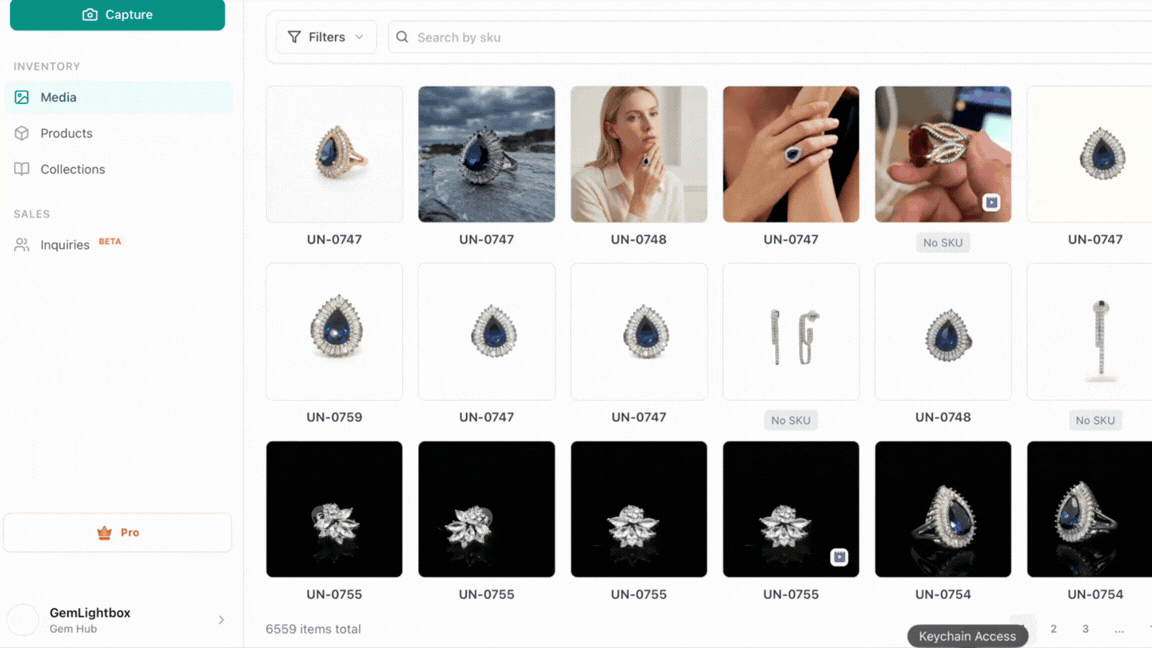 A GIF Showing the Menu to Select GemStudio Credits