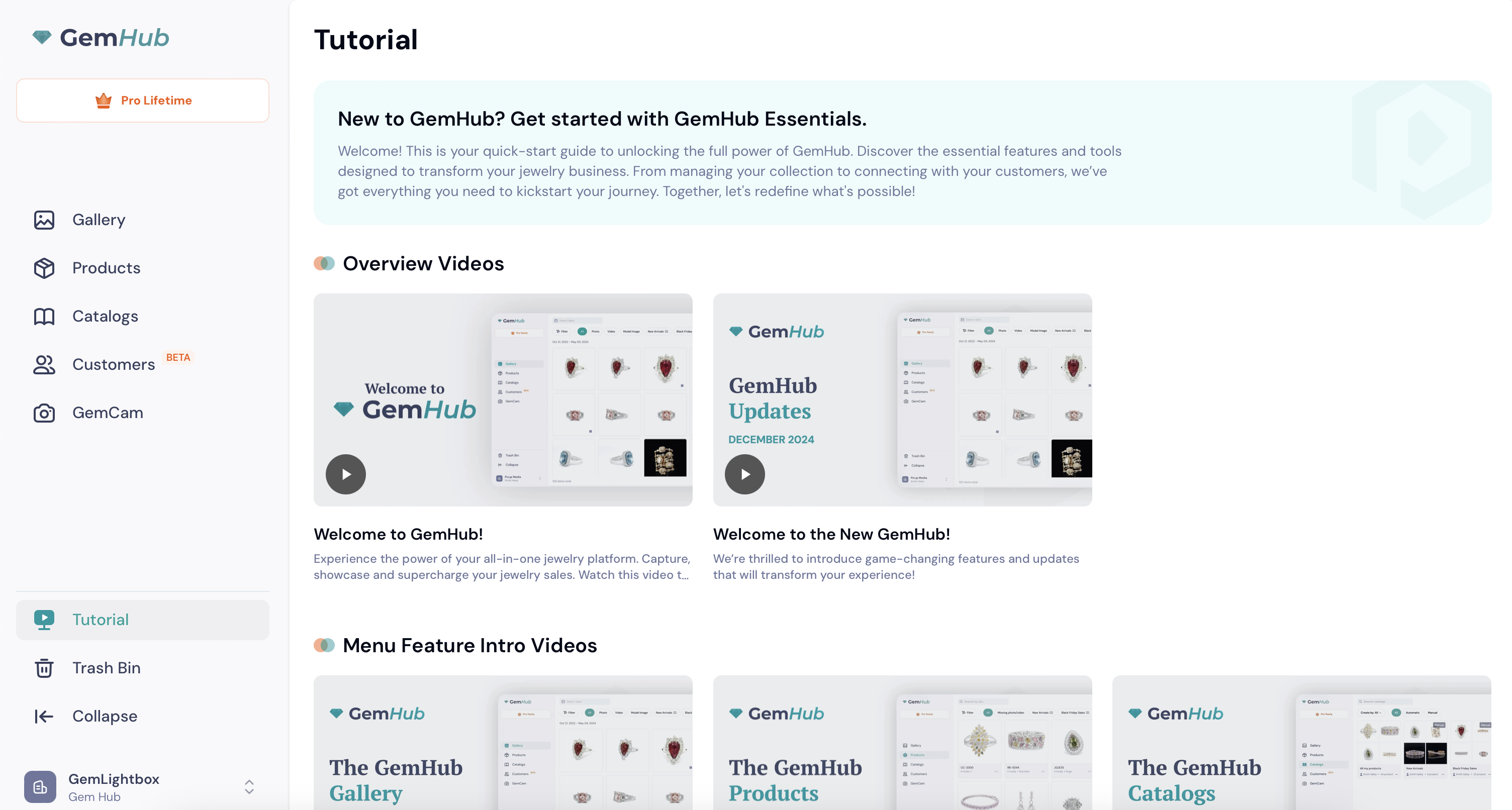 GemIQ app Interface Showing the Tutorial Button