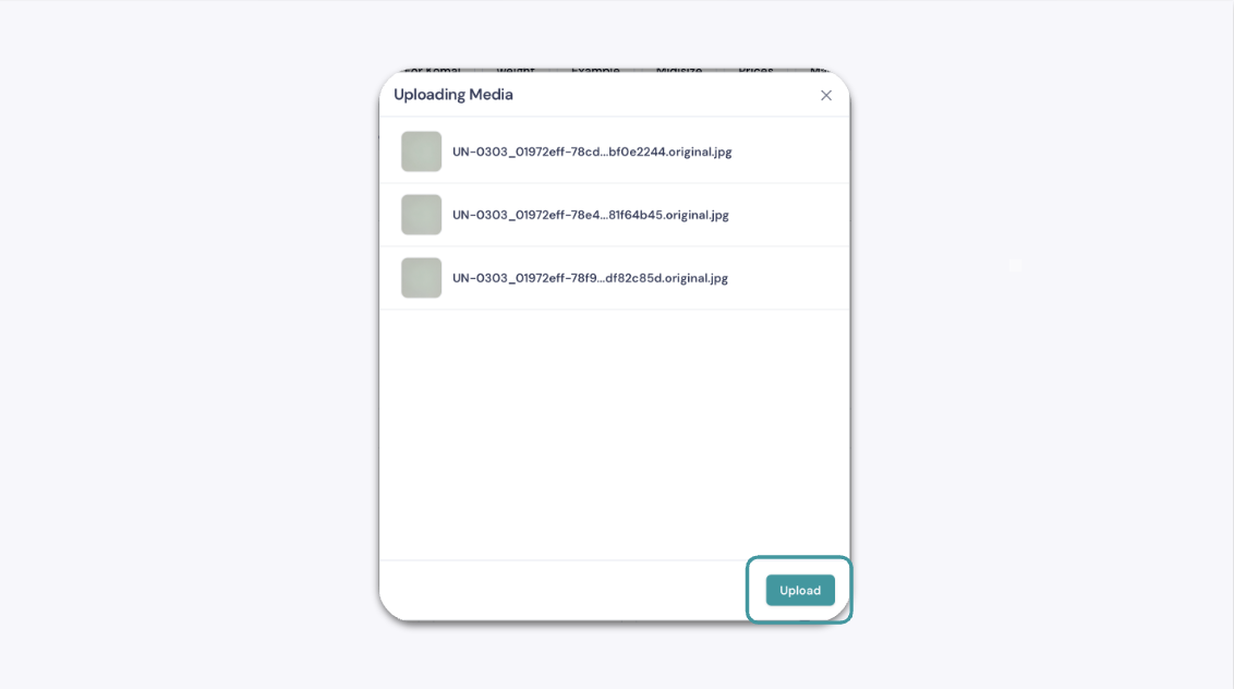 Preview Window Showing Selected Media Files